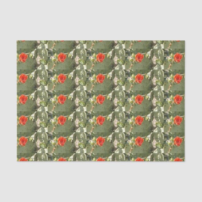 Cactus Papel de tejido de regalo duro y hermoso (Anverso)
