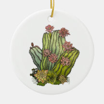 Cactus personalizado y un delicioso ornamento