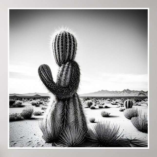 Cactus punteros - Impresión artística (Frente)