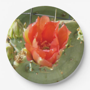 Cactus Tos y hermosos platos de papel grande