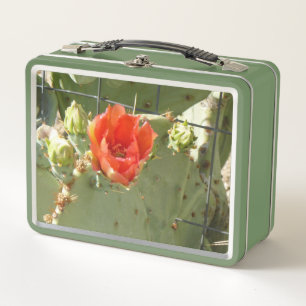 Cactus Tough and Beautiful green lunbox