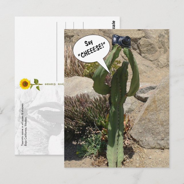 Cactus Turista, di CHEESE - postal (Anverso / Reverso)