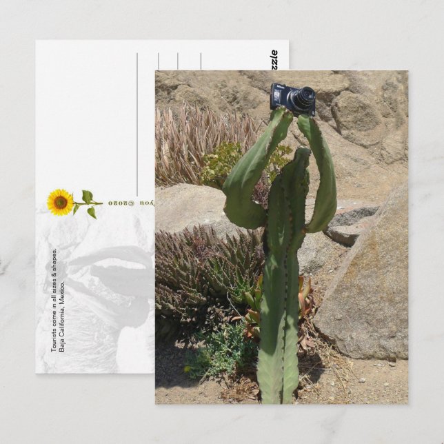 Cactus Turista - postal (Anverso / Reverso)