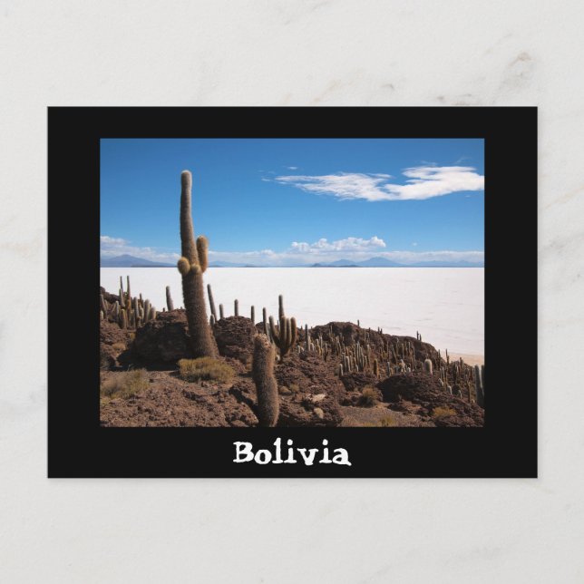 Cactus y la postal de Salar de Uyuni (Anverso)