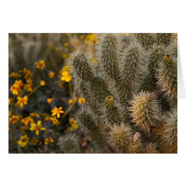 Cactus y Wildflowers (Anverso (Horizontal))