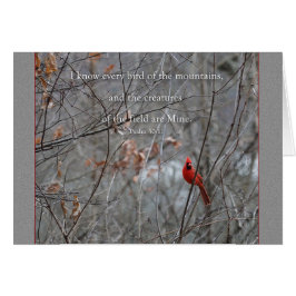 Cada ave de la montaña Parakaleo tarjeta de nota