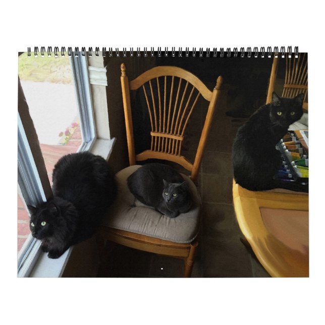 Cada día es calendario de encargo del gato de (Tapa)