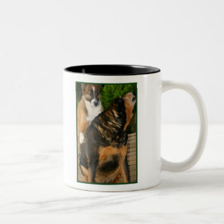 Cada día es taza de café del día de chepa