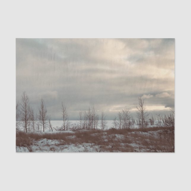 Cada ocasión Papel de tono de regalo de paisaje (Anverso)