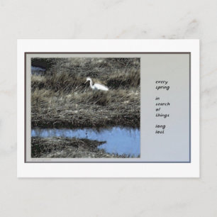 Cada postal de primavera de Haiku