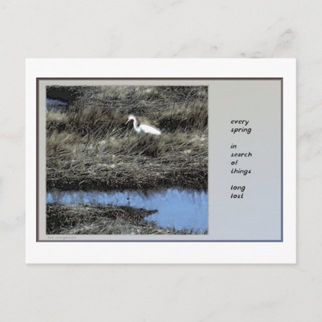 Cada postal de primavera de Haiku (Anverso)