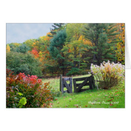 Cada salida es una entrada en otro lugar