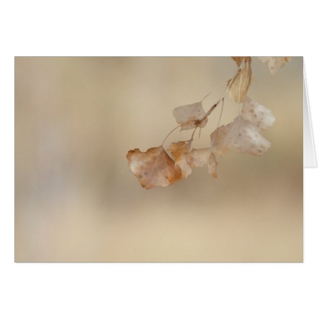 cadena de hojas doradas (Anverso (Horizontal))