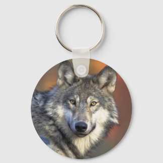 Cadena de llavero de lobo gris