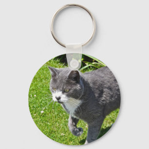 Cadena de llavero Gato Gris y Blanco