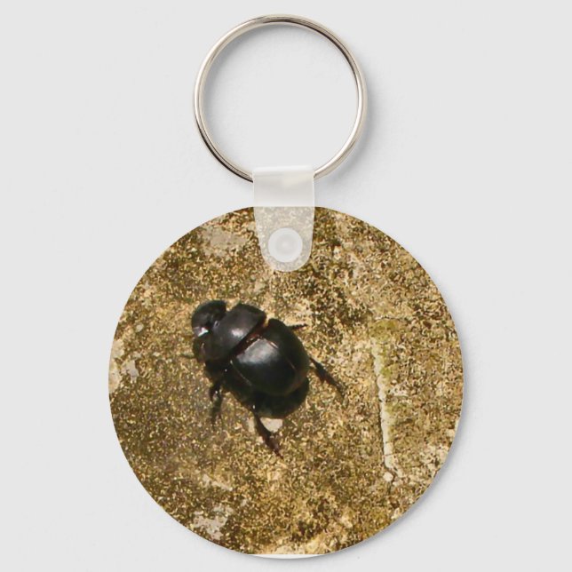 Cadena de llavero para caminar con escarabajos (Anverso)