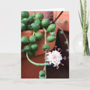 Cadena de Perlas, exitosa tarjeta de felicitación