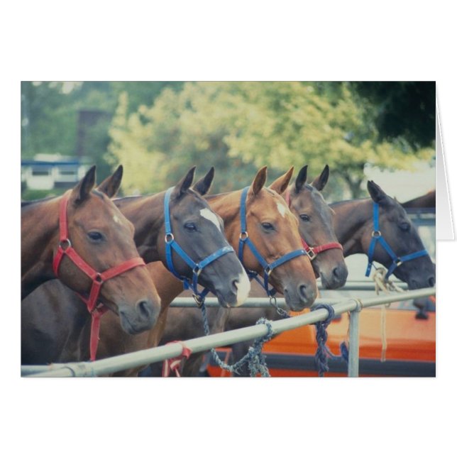 Cadena Polo Pony (Anverso (Horizontal))