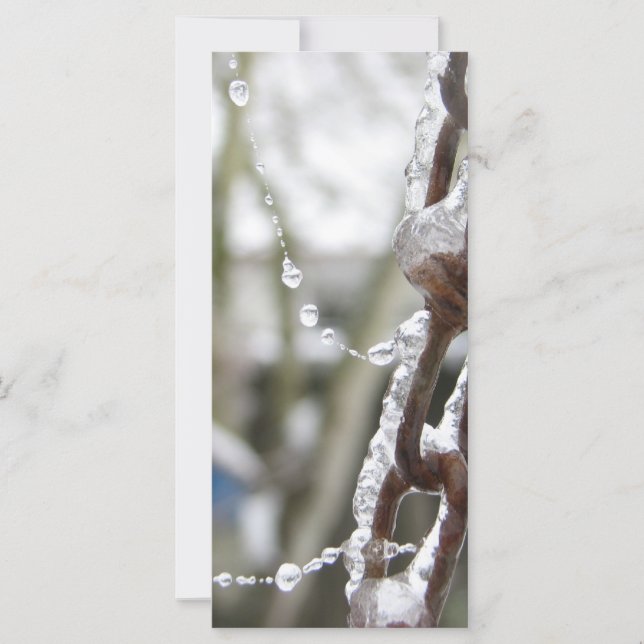 Cadena y Perlas (Anverso)