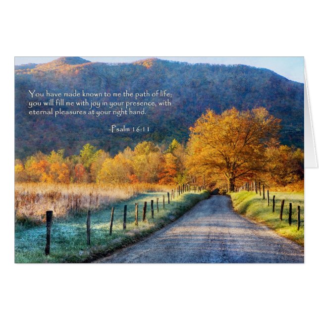 Cades Cove - Camino de Vida (Anverso (Horizontal))