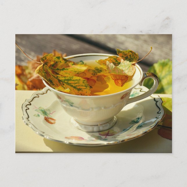 Cae deja postal de la cabaña inglesa del té del ot (Anverso)