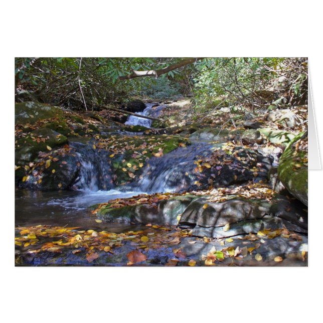 Cae en el Fires Creek (Anverso (Horizontal))