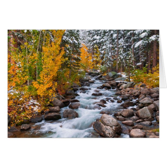 Cae por la cala de Bishop, California (Anverso (Horizontal))