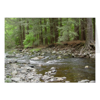 Cae Raymondskill superior