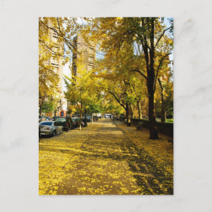 Caer a lo largo de la postal del parque