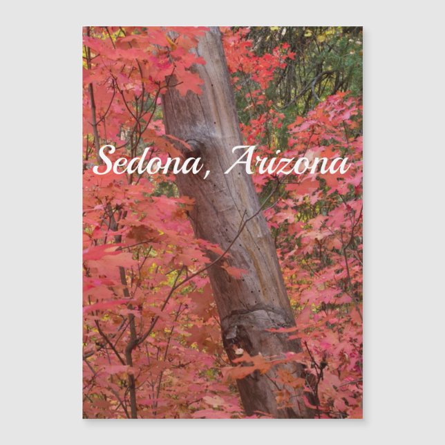 Caer de rosa en Sedona (Anverso)
