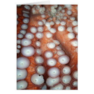 Caer en el pulpo cercano