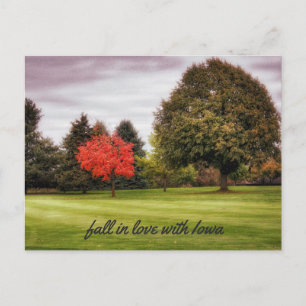 Caer enamorada de la postal de Iowa