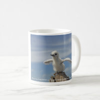 Ahorre nuestra taza de las aves marinas por