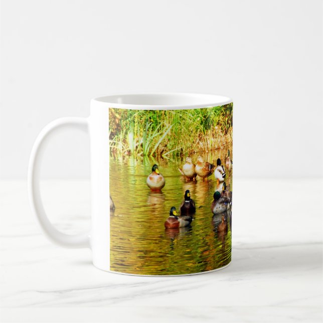Café Ahorre nuestra taza migratoria de las aves (Izquierda)