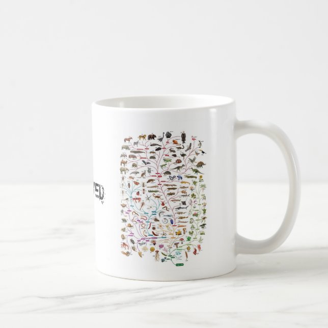 Café Árbol desarrollado de la taza de la vida (Derecha)