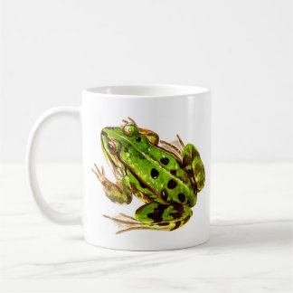 Café Bese esa taza de la rana