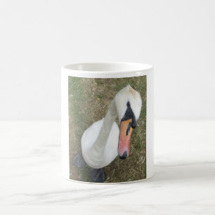 Café Cerco de cisne blanco en una taza