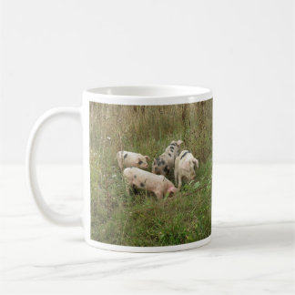 Café Cerdos en una taza de campo