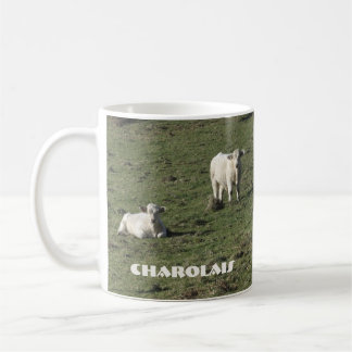 Café Charolais se acobardan y la taza de los becerros