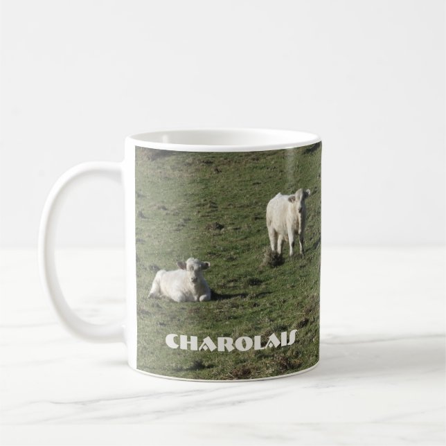 Café Charolais se acobardan y la taza de los becerros (Izquierda)