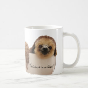 Café "Cuteness en taza de la pereza de un cuenco"