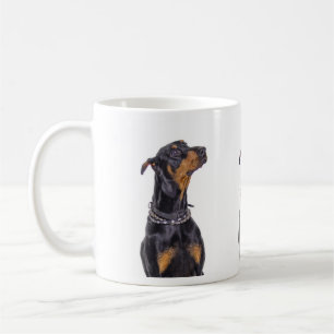 Café Doberman con la taza disimulada de la mirada