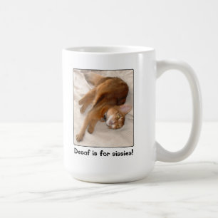 Café El Decaf está para la taza del gatito de las