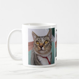 Café El gato de Tabby puede yo tener un poco de taza de