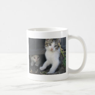 Café Gatitos que juegan en la taza de la granja
