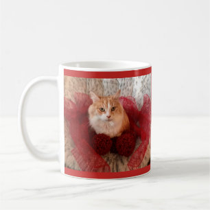 Café Gato mullido y taza roja de la cinta