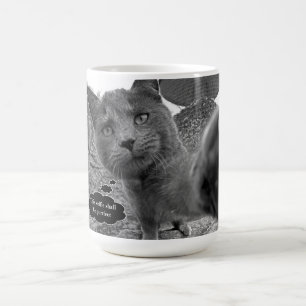 Café Gato que toma la taza de Purrfect Selfie