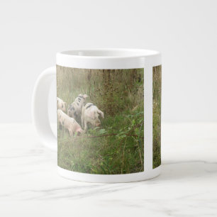 Café Gigante Cerdos en una taza de campo