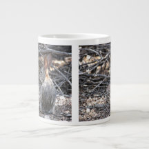 Conejo de rabo blanco del desierto - taza enorme