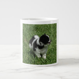 Café Gigante Taza de Pomeranian
